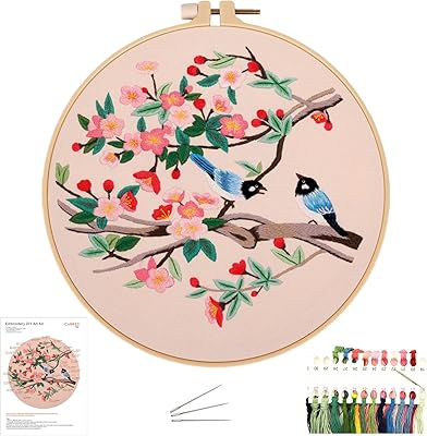 Kit de broderie pour adultes débutants, kit de point de croix comprenant un tissu