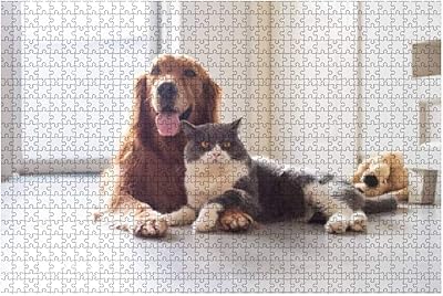 Puzzle en bois de 1000 pièces pour adultes décompression puzzle éducatif