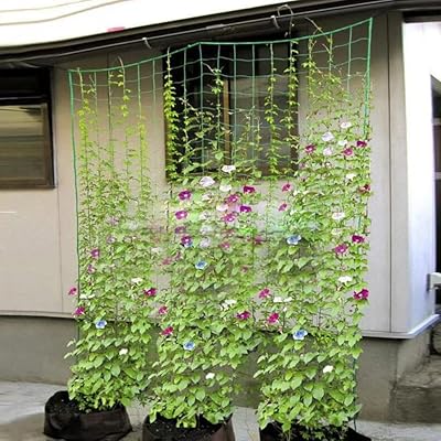 Filet de treillis pour plantes 1,8 m x 3,6 mfilet de support