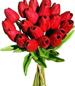 Wenbo tulipes artificielles blanches 20 pièces tulipes artificielles au toucher réel pour la décoration de mariage de bureau à domicile bouquet de tulipes artificielles pour la décoration (rouge). Commandez malin, vivez mieux avec Diaytar