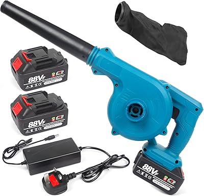 Souffleur de feuilles sans fil avec 2 batteries et chargeur, souffleur de feuilles