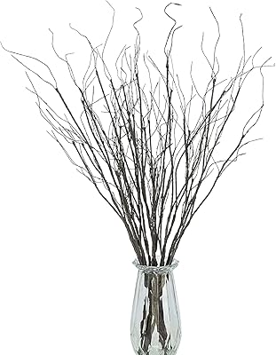 10pcs branches de saule bouclées vibrantes séchées artificielles décoratives bâtons pliables