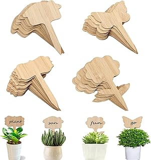 Bigthree étiquettes de plantes en bambou 40 pièces étiquettes pour d'extérieur