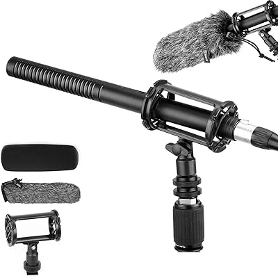 Microphone canon boya by-bm6060, noir