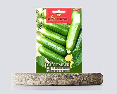 Concombre - graines (fabriquées en espagne) par agrimaxgroup®