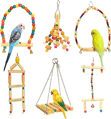Ensemble de jouets pour oiseaux de borak 6 pièces suspendues perchoirs à mâcher