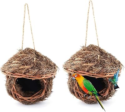 Tfwadmx maison pour colibris, paquet de cabane à oiseaux suspendue en plein air
