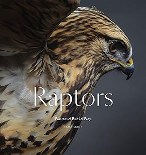 Raptors : portraits d'oiseaux de proie. Diaytar : Qualité professionnelle, prix grand public