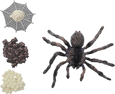 12 pièces/ensemble spider life ornements de croissance d'araignée figurine de cycle de vie