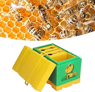 Boîte à abeilles, apiculteur professionnel léger pour l'apiculture de jardin, boîte complète de fournitures d'apiculture pour abeille italienne et abeille chinoise (vert). Diaytar : Des offres irrésistibles chaque jour