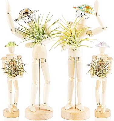 Melvoy 4 pièces support de plante à air flexible en bois flexible bricolage