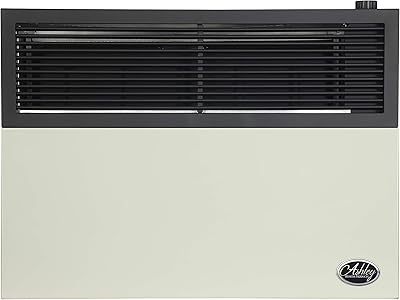 Chauffage au gaz naturel ashley hearth products dvag17n 17 000 btu - crème