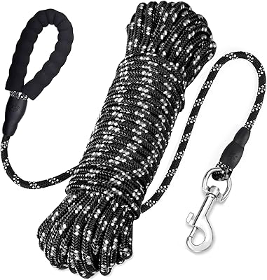 Laisse de dressage pour chien longue corde flottante en nylon réfléchissant avec poignée