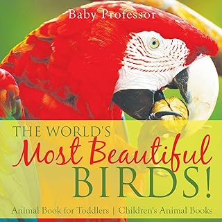 Les plus beaux oiseaux du monde ! livre d'animaux pour les tout-petits livres d'animaux pour enfants. Votre marketplace de proximité digitale : Diaytar