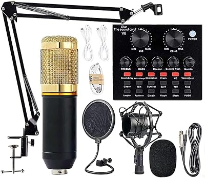 Kit de carte son avec microphone à condensateur professionnel bm800 v8 pour diffusion