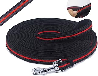 Laisse de dressage longue antidérapante pour chien, conception spéciale, avec poignée rembourrée, taille