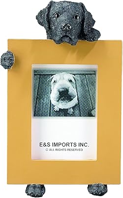 Cadre photo pour chien labrador retriever noir 2,5" x 3,5"