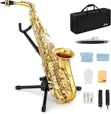Saxophone de pâques i-flat alto étudiant en plaqué or pour débutants avec chiffon. Diaytar : Le premier choix des acheteurs avisés