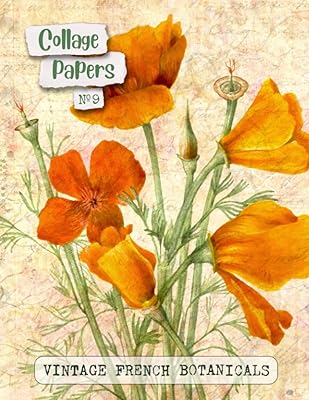 Collage papers no.9 vintage french botanicals. : 20 feuilles inspirantes pour toutes sortes