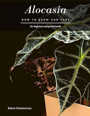 Alocasia : comment cultiver et entretenir. Votre marketplace de proximité digitale : Diaytar