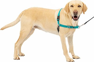 Mors de selle pour chien easy walk, bleu sarcelle, grand