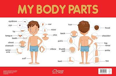 Mon tableau des parties du corps dessin éducatif précoce pour les enfants