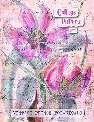 Papiers de collage n°7 botaniques françaises vintage : 25 belles feuilles pour journaux, albums de coupures et art multimédia (série artful). Shopping en ligne au Sénégal ? Pensez Diaytar !