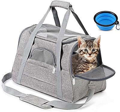 Cage pour animaux de compagnie beauenty pet carrier approuvée par les compagnies aériennes