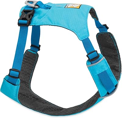 Harnais léger pour chien ruffwear, grandes à très grandes races, ajustement réglable, taille l/xl (32-42 po/81-106 cm), blue atoll, harnais hi & light – Photo produit Dakar Sénégal – Livraison rapide Harnais léger pour chien ruffwear, grandes à très grandes races, ajustement réglable, taille l/xl (32-42 po/81-106 cm), blue atoll, harnais hi & light. Découvrez Diaytar, la marketplace sénégalaise qui révolutionne vos achats en ligne