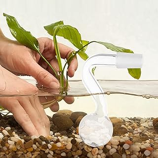 6 pièces samoo aquarium petits tubes de lys en verre tube d'écoulement d'eau en verre pour accessoires d'aquarium d'aquarium planté. Diaytar : Le premier choix des acheteurs avisés