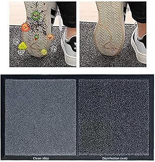 Paillasson hygiénique de stérilisation de chaussures tapis d'entrée désinfecté antidérapant pour la maison
