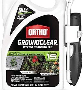 Ortho groundclear désherbant et désherbant prêt à l'emploi - spray désherbant pour gazon, utilisation dans les plates-bandes paysagères, autour des potagers, sur les terrasses et plus encore, désherbant à feuilles larges, voir les résultats en 15 minutes, 1 gal. Diaytar Sénégal : Le plaisir d'acheter sans se priver