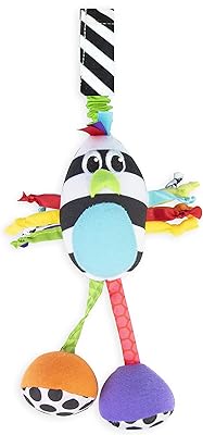 Sassy poppin' birdie | peluche de développement d'apprentissage précoce à contraste élevé à