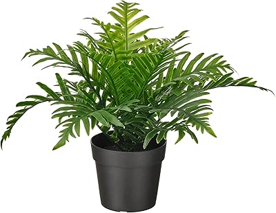 Plante artificielle en pot ikea vegka, 9 cm, géant wheatley intérieur et extérieur