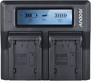 Chargeur de batterie pour appareil photo lcd double canal icam np-fz100 de remplacement