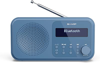 Radio numérique portable sharp tokyo dr-p420(pk) avec bluetooth 5.0, lecteur audio mono dab+/fm