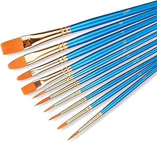 Ensemble de 10 pinceaux de peinture artistique ecvv à cheveux en nylon