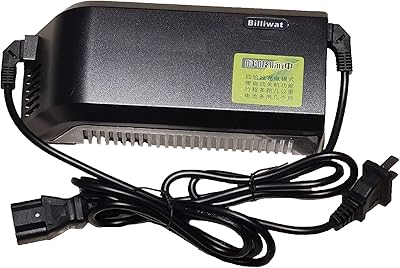 Chargeur intelligent beliwatt 60v 20a pour scooter électrique et fauteuil roulant électrique, sortie