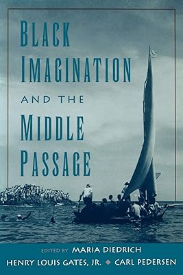 L'imagination noire et le passage du milieu