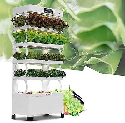 Tour de culture hyponique, plantes hydroponiques verticales de 5 étages avec lumière