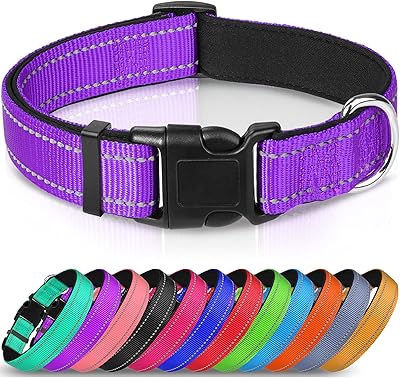 Collier réfléchissant joytail, collier rembourré en néoprène respirant pour animaux de compagnie, réglable