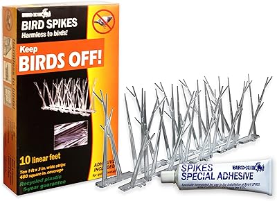 Ensemble de pointes barbelées bird-x pour empêcher les oiseaux de se tenir debout