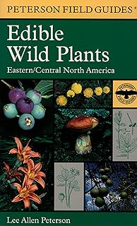 Guide de terrain des plantes sauvages comestibles
