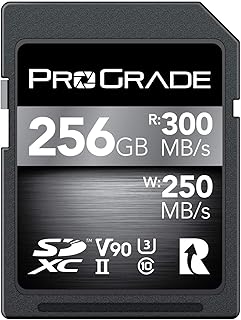 Carte mémoire sdxc progid uhs-ii v90 300r (256 go)