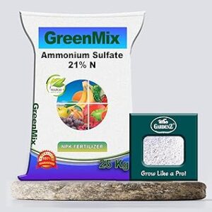 Engrais agricole au sulfate d'ammonium npk 21-0-0 (25 kg.) + boîte de perlite agricole. Diaytar Sénégal : Parce que chaque FCFA compte