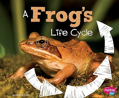 Le cycle de vie d'une grenouille