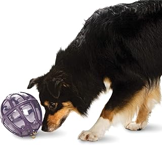 Jouet pour chien de distribution alimentaire, de busy buddy cable nipple, de petsafe