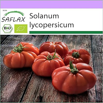 Biologique - tomate - rouge de marmande - 10 graines - solanum lycopersicum