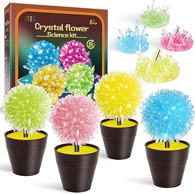 Kit de culture de cristaux amosting pour enfants (4 pièces)