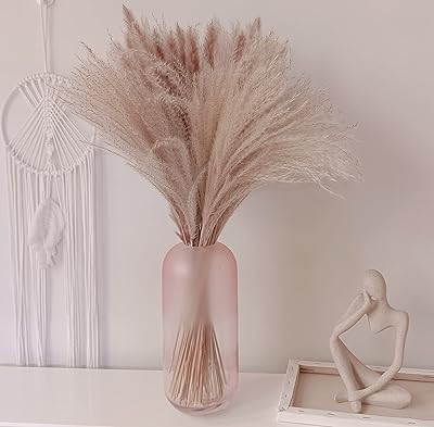 50pcs herbe de pampa séchée naturelle, herbe de pampa artificielle 40cm fleurs séchées pour décor de vase, décoration d'intérieur pour chambre, salle de bain, balcon, table. (vase non inclus) – Photo produit Dakar Sénégal – Livraison rapide 50pcs herbe de pampa séchée naturelle, herbe de pampa artificielle 40cm fleurs séchées pour décor de vase, décoration d'intérieur pour chambre, salle de bain, balcon, table. (vase non inclus). Le meilleur du e-commerce discount réuni sur Diaytar